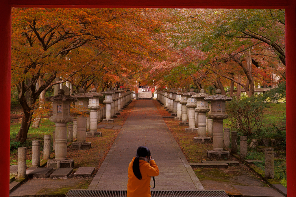 丹波紅葉めぐり　高山寺