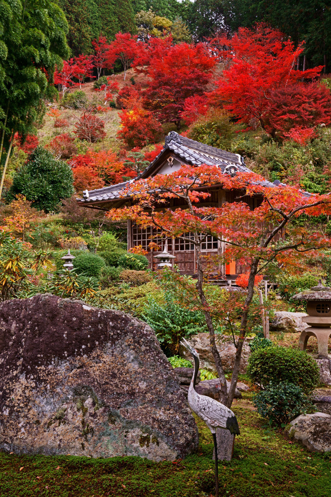 丹波紅葉めぐり　達身寺