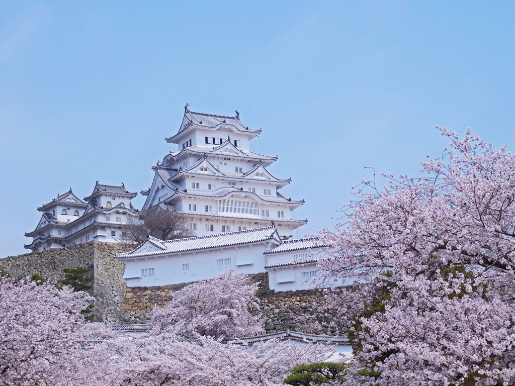 この位置からの城と桜が好き