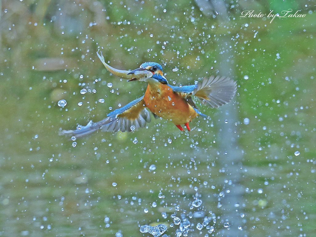 食足りれば、気も満ちる