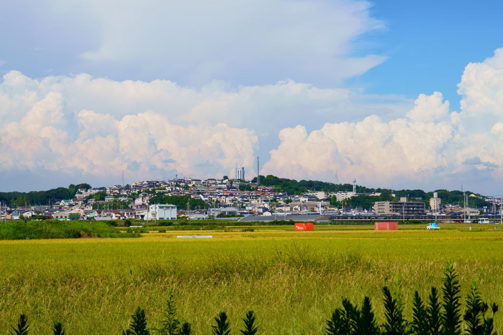 夏の空