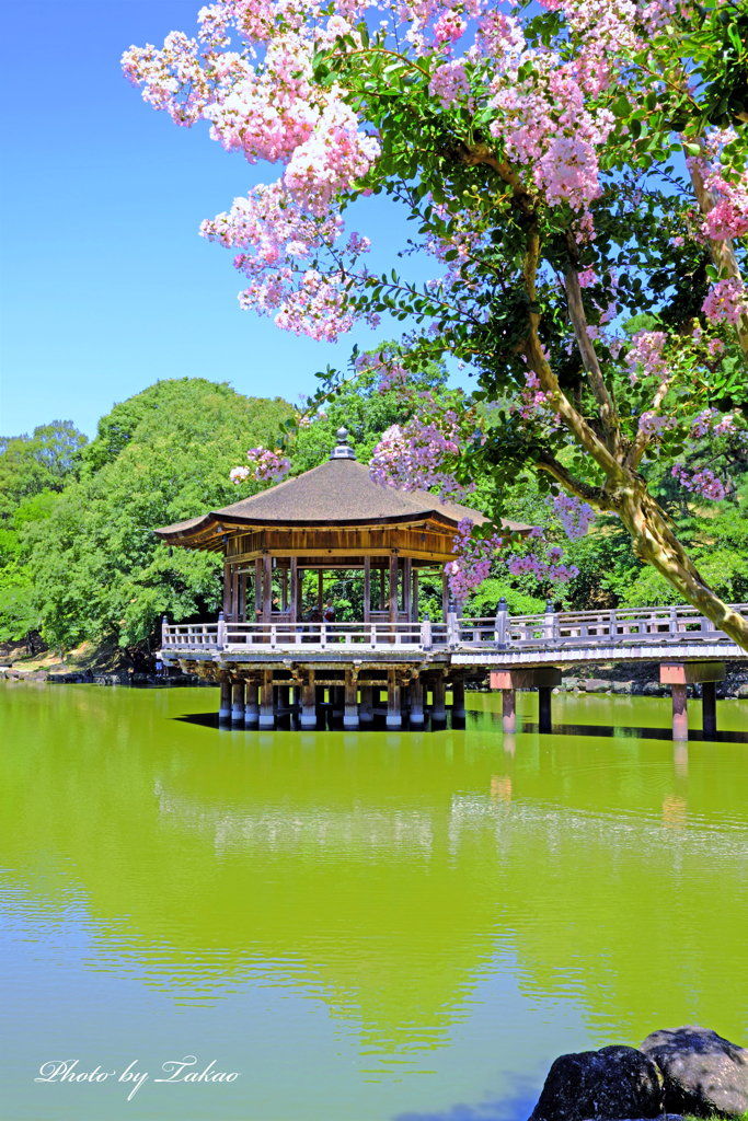奈良　夏　浮見堂