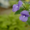 6BB2160C-A40B-4C4B-8546-326D105AC294