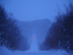 粉雪が降る中を