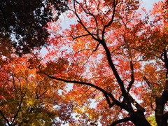 地元の公園で