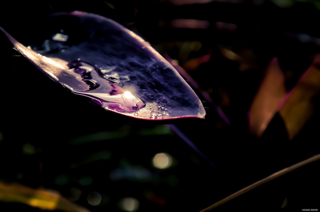PSX_20190830_211521