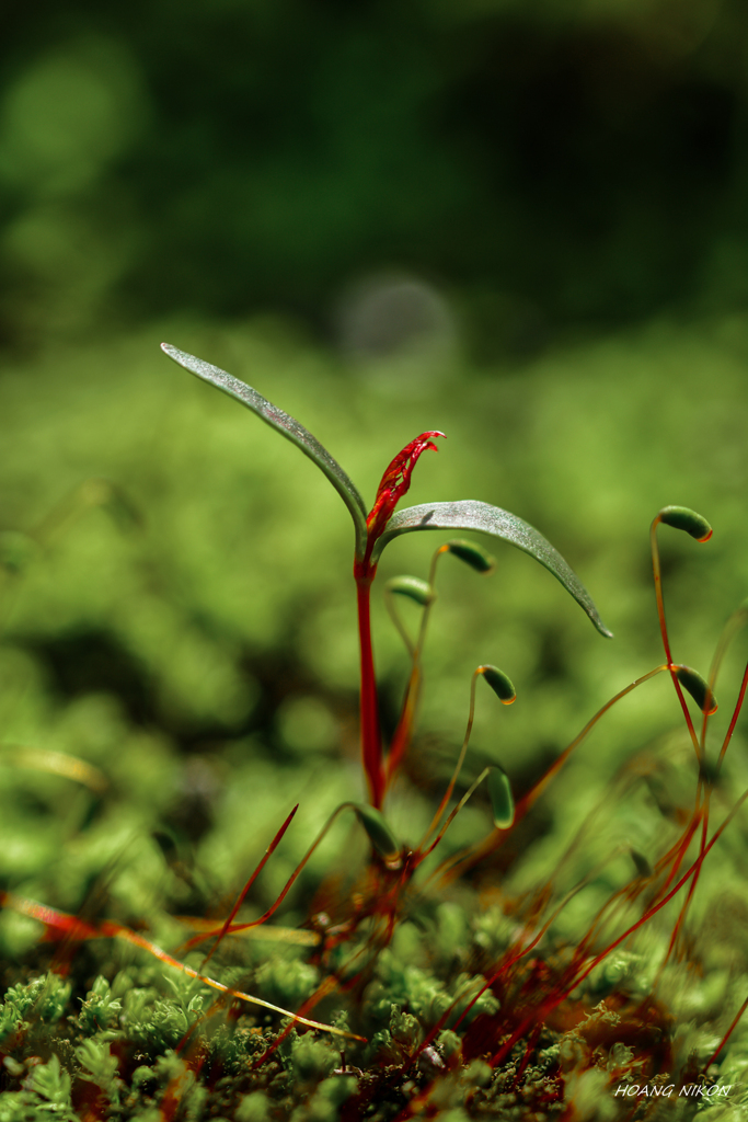 DSC_6639-01