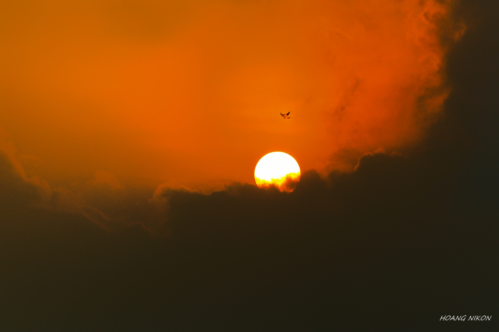 D72_0047-01-01
