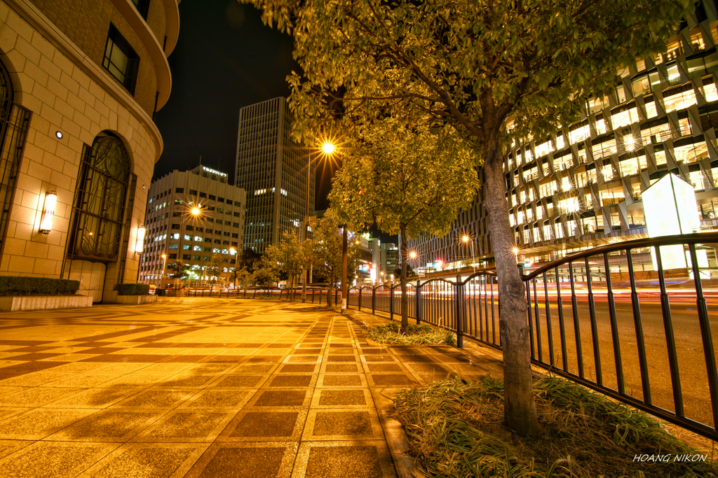 DSC_6783-01
