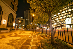 DSC_6783-01