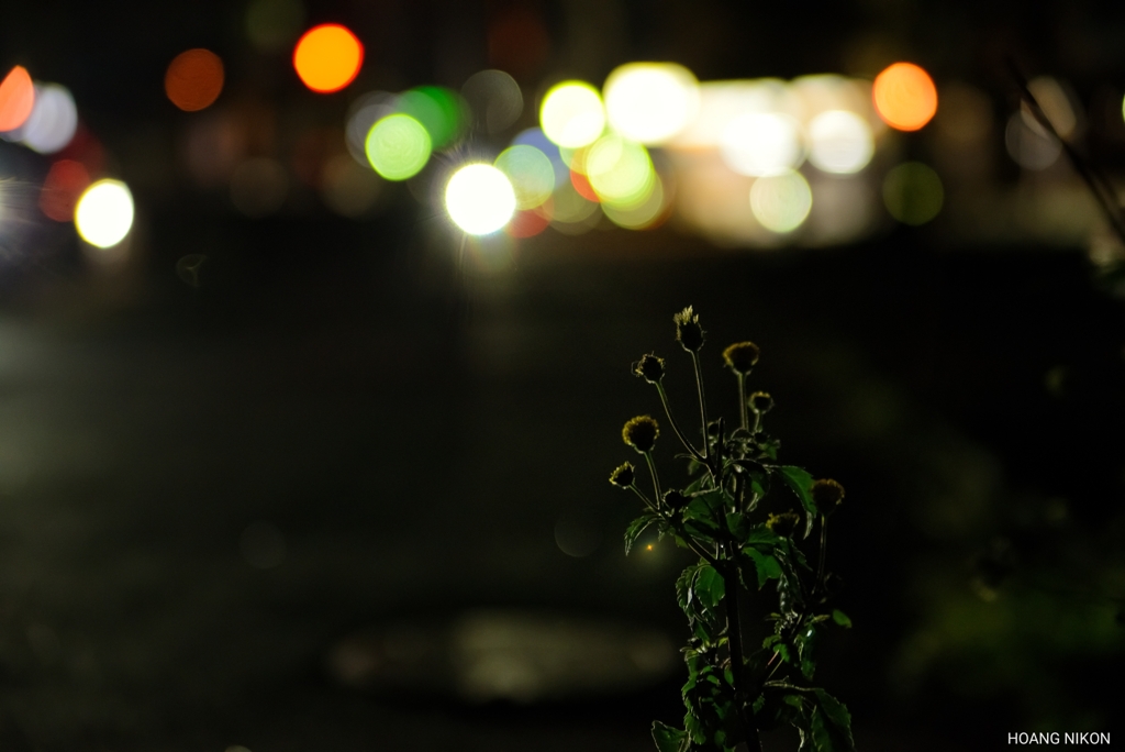 PSX_20200102_211908