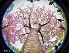 DSC_6995-01-01