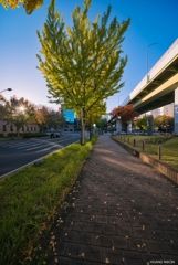 PSX_20191124_000848