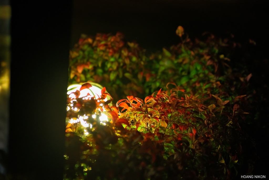 PSX_20200102_212431