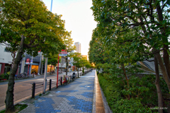 PSX_20190807_205001