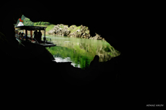 DSC_2242-01