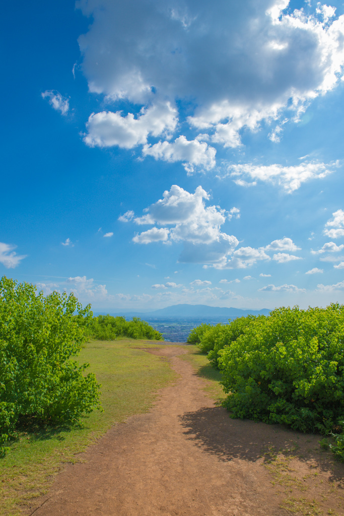 若草山山頂からの景色14