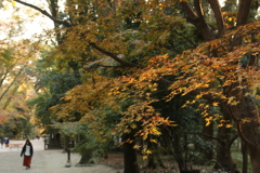 紅葉in下鴨神社その5