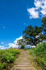 若草山山頂からの景色その6