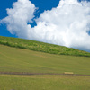 若草山　麓の景色その4
