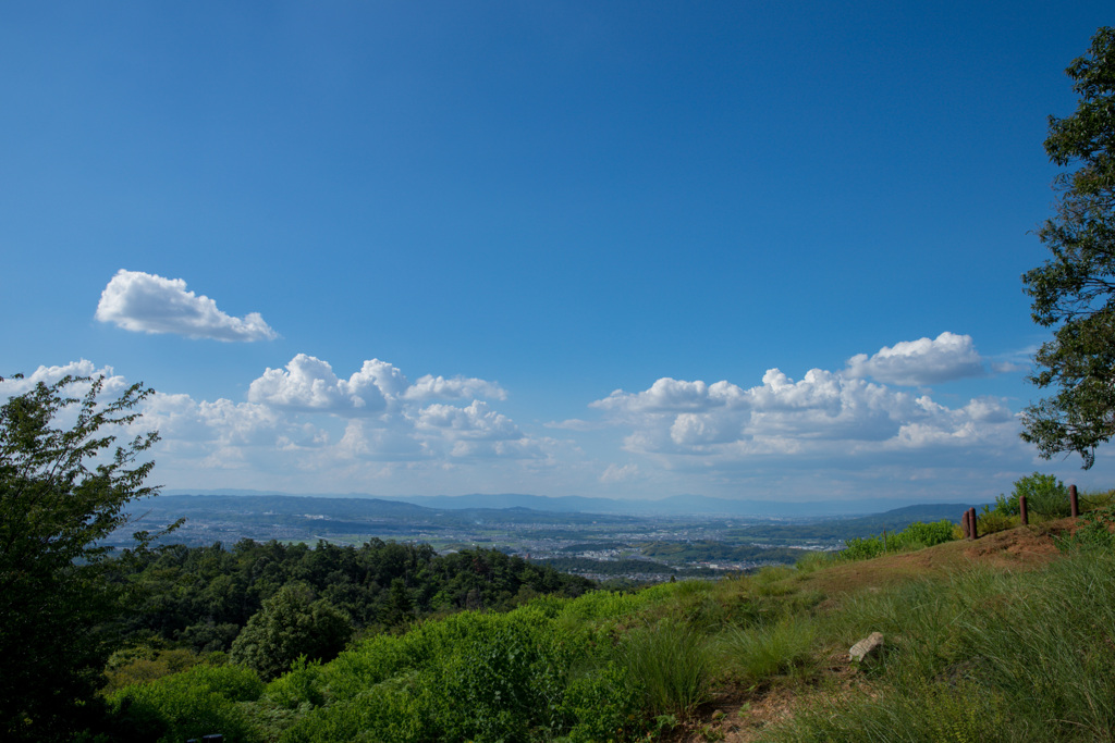 若草山山頂からの景色その5