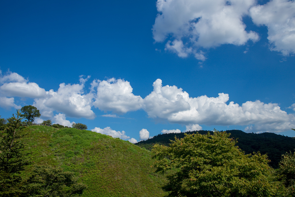 若草山山頂からの景色その12