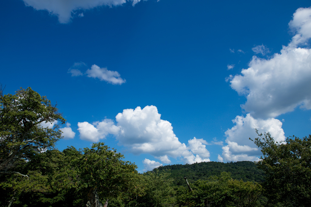 若草山山頂からの景色その2