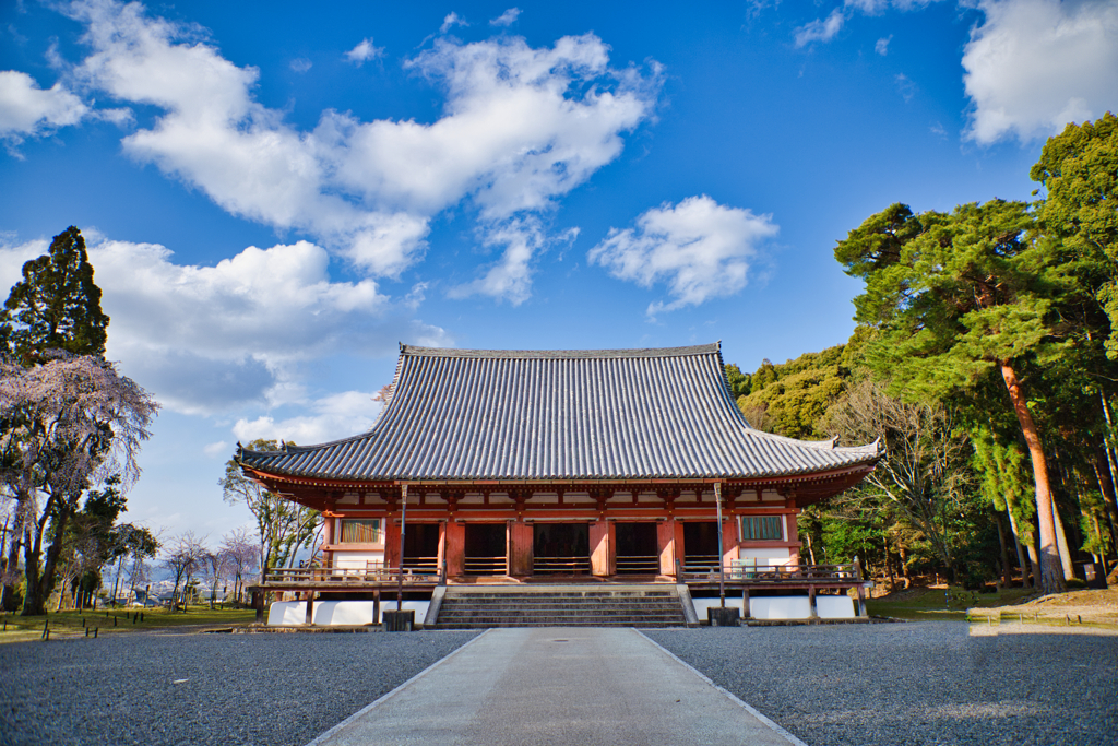 醍醐寺