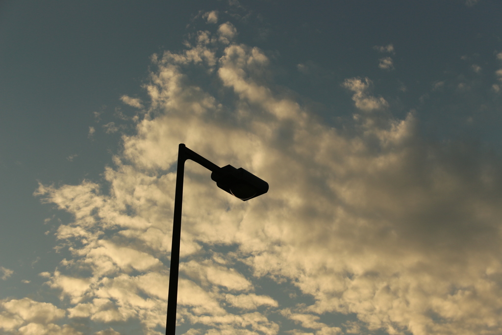 夕暮れの電灯