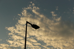 夕暮れの電灯