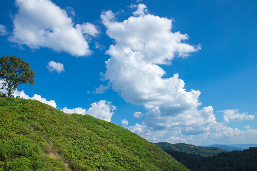 若草山山頂からの景色その9