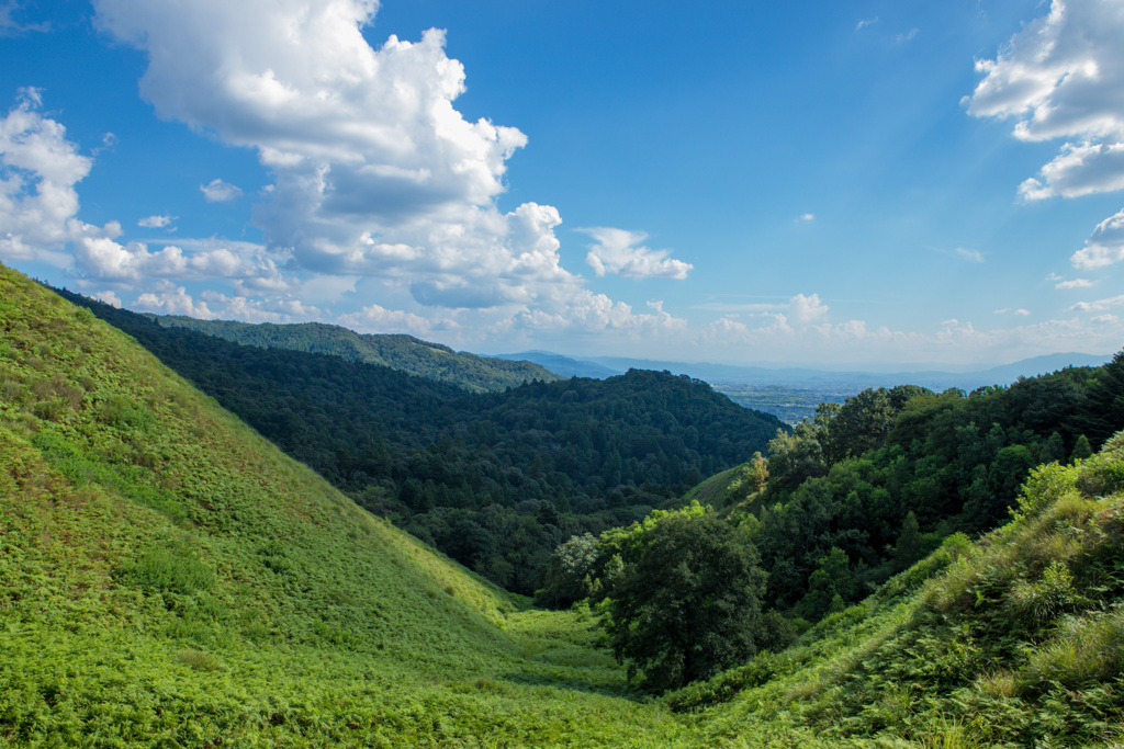 若草山山頂からの景色その10