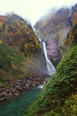 濃霧の称名滝 ①