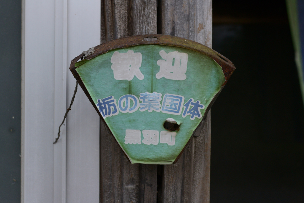 カラー#170