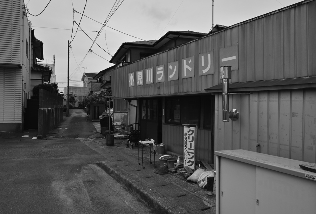 モノクロ#491