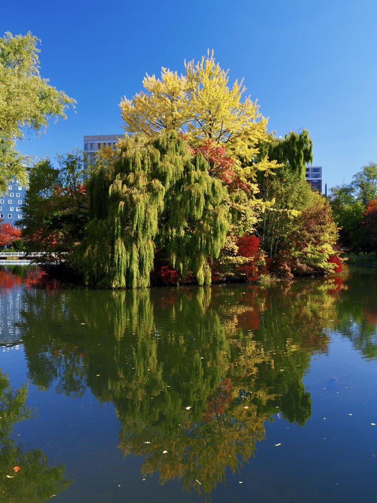 中島公園　秋　その３