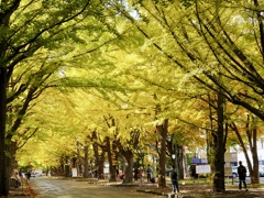 レモンイエローのトンネル