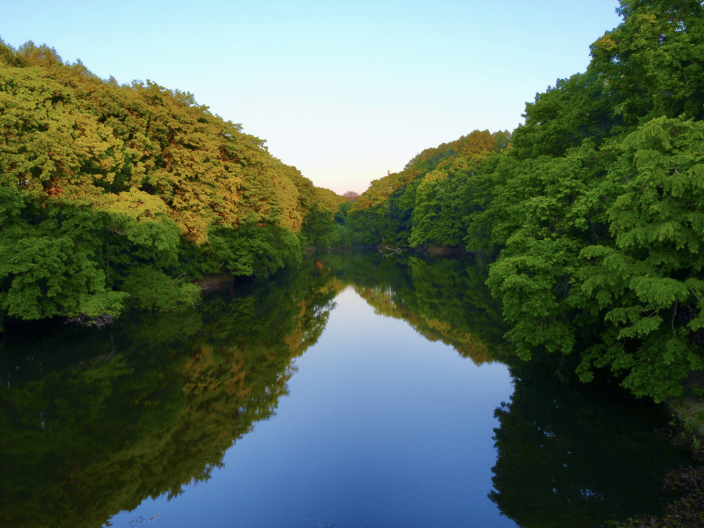 6月の紅葉？