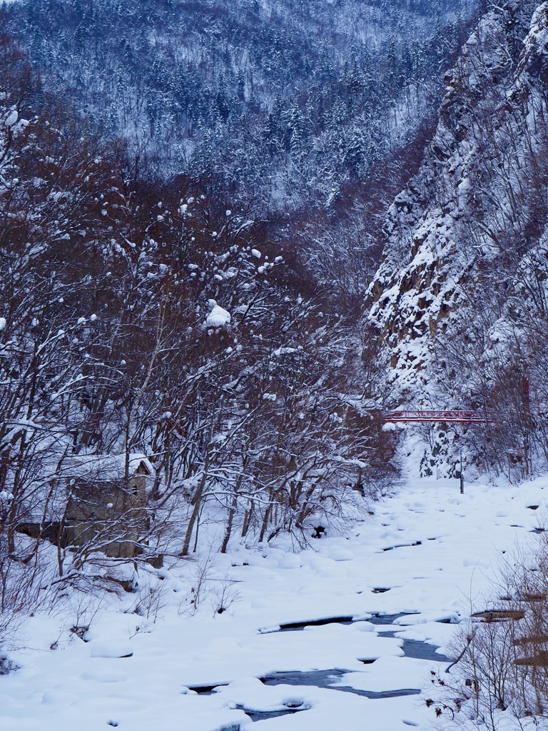 赤い吊橋