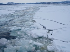 紋別の流氷