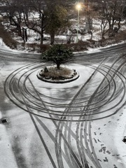 また雪が降った