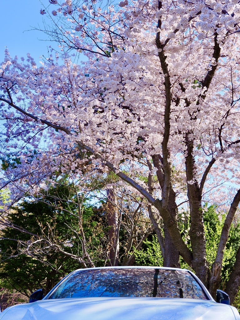 愛車の窓にも映り込む