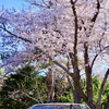 愛車の窓にも映り込む