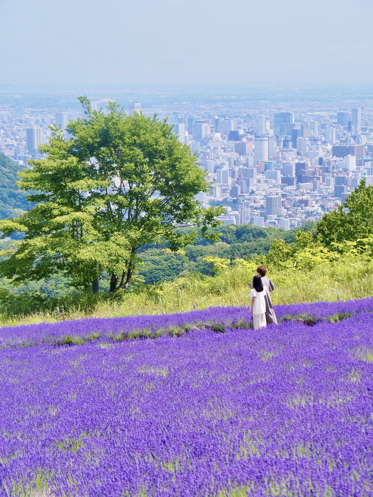 ラベンダー カップル 札幌の街