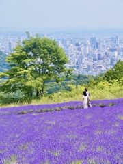 ラベンダー カップル 札幌の街