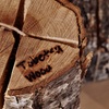 Tobetsu Wood
