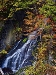 紅葉と滝