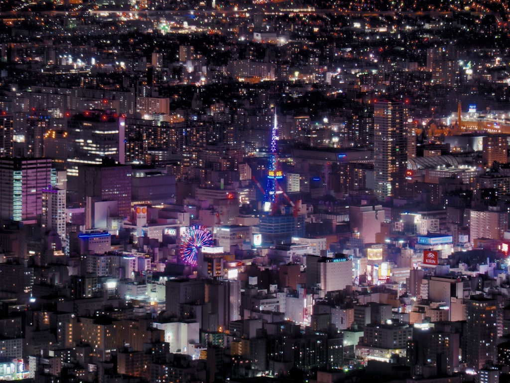 夜の札幌（藻岩山から）