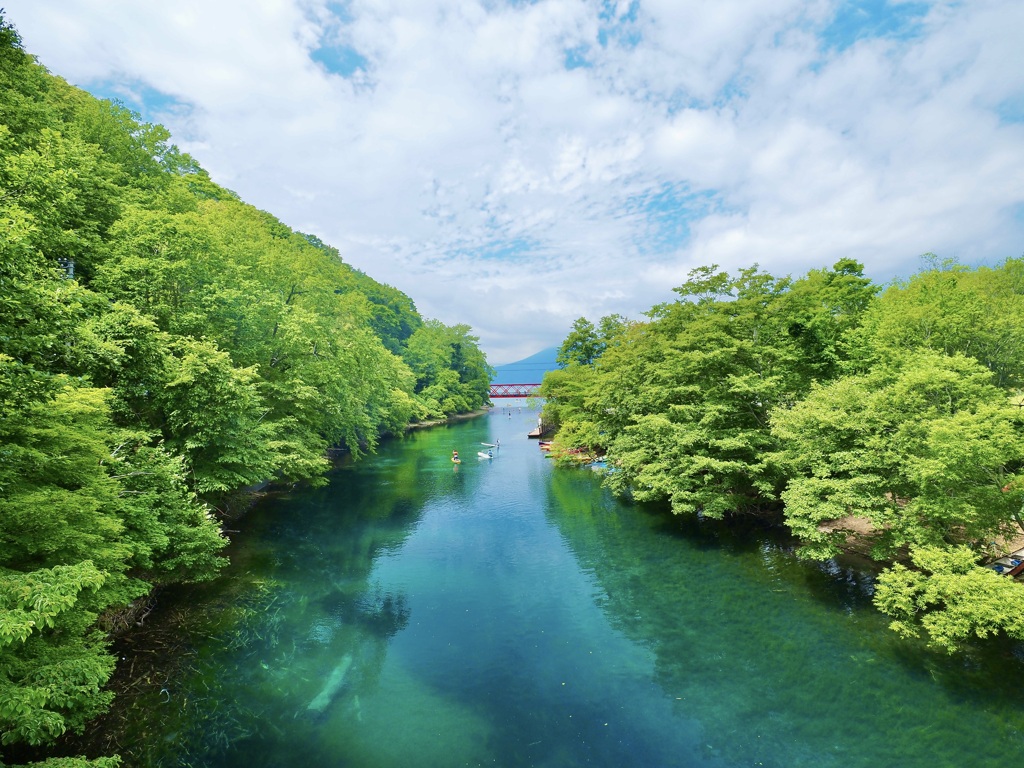 いつもの場所