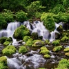 新緑と名水